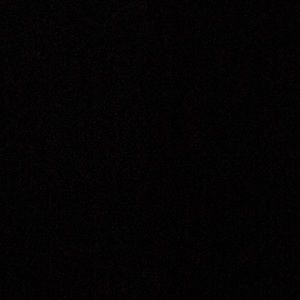 Meet your Posher, Phillip